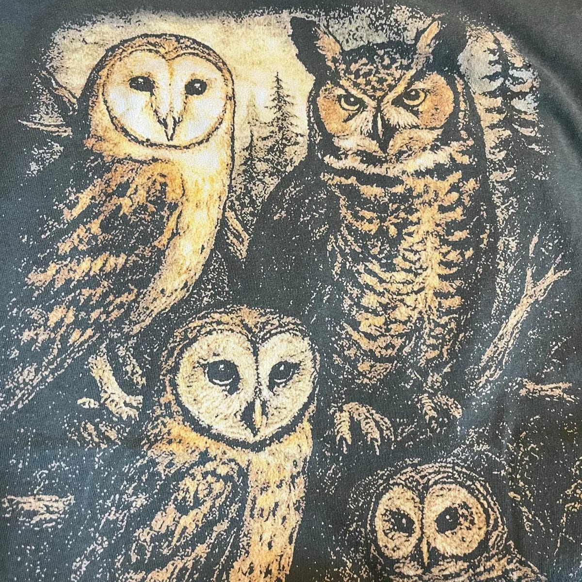 Customer photo review of Forest Owls Tee