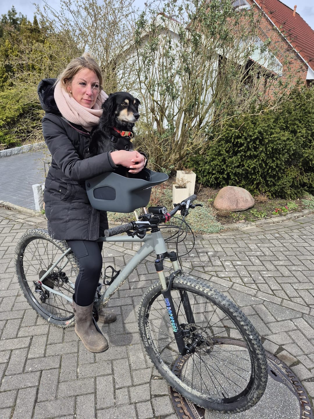 Customer photo review of Kvisp Dog Bike Carrier
