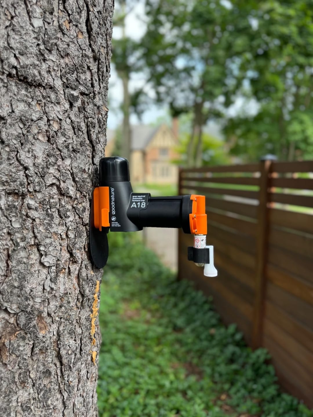 Customer photo review of A18 Squirrel Trap Kit With Digital Strike Counter
