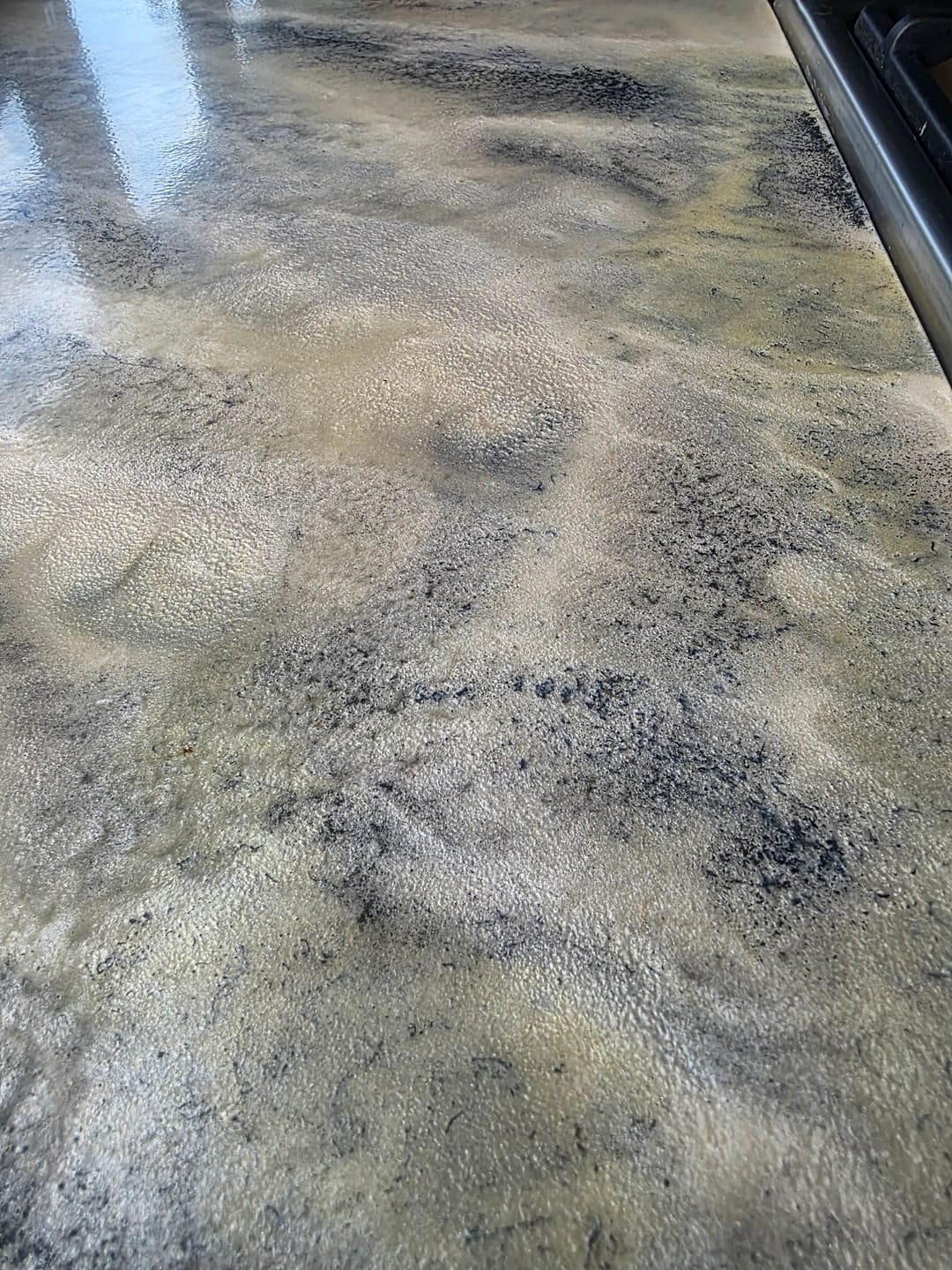 Customer photo review of Epoxy Flake Floor Kit