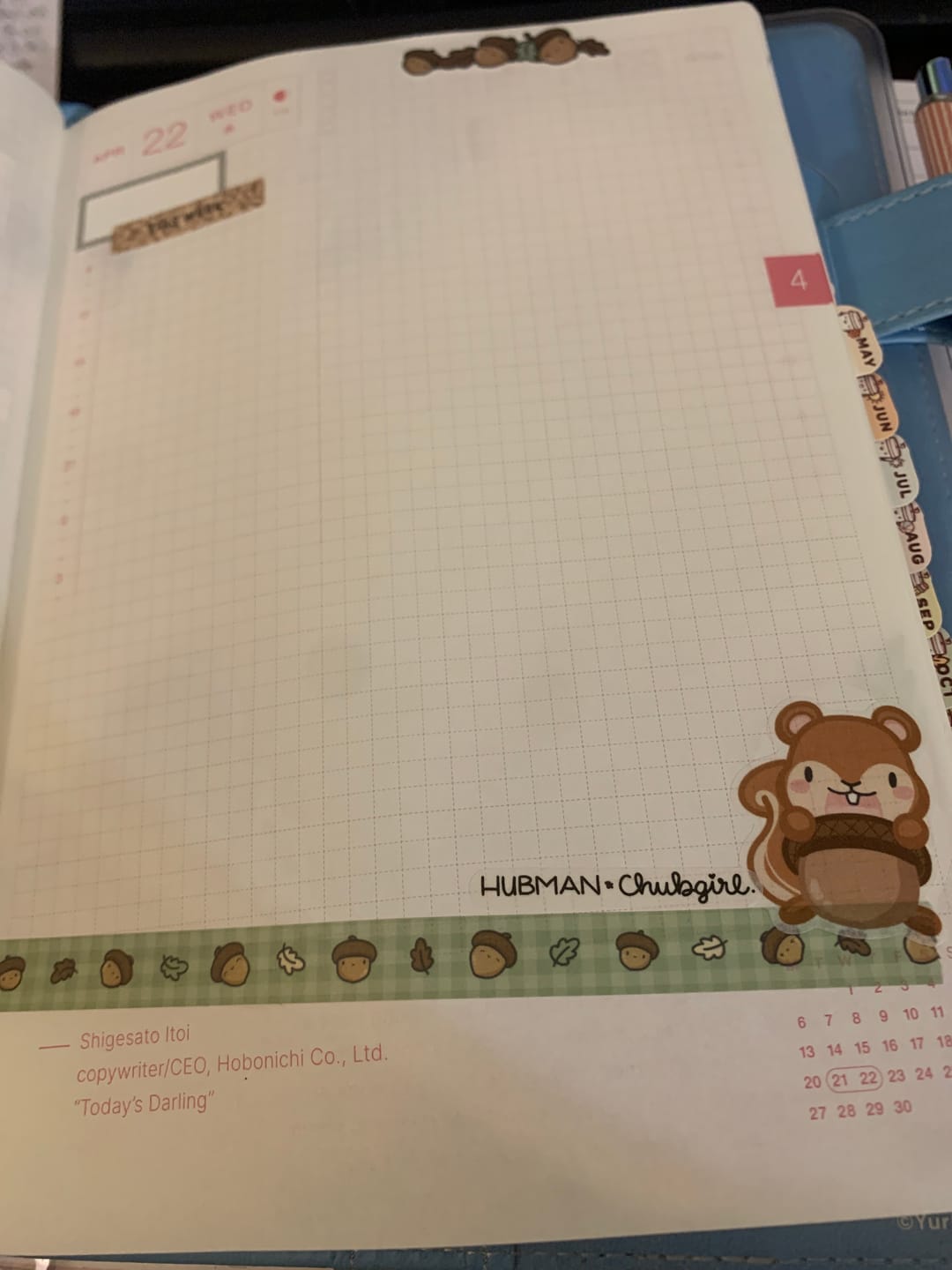 Customer photo review of Squirrelly Acorn Washi Tapes (Set of 2)