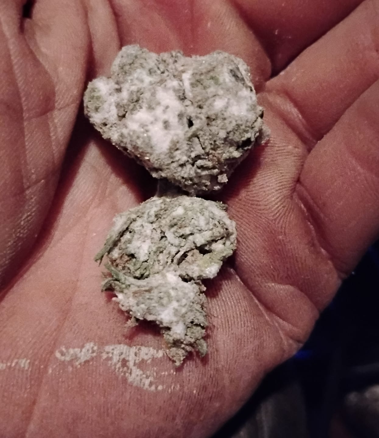 Customer photo review of Snow Capz 28 Grams
