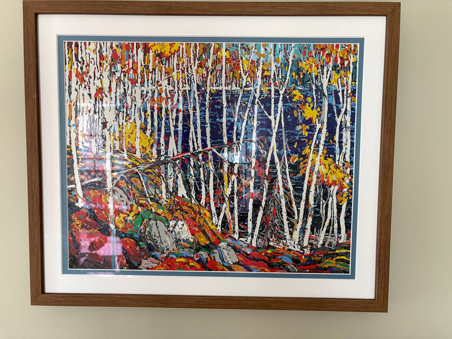 Customer photo review of Extra Paint Kit to Elevate Paint by Numbers Experience