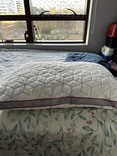 Customer photo review of Bundle 2x IWS SnowTouch® Pillows