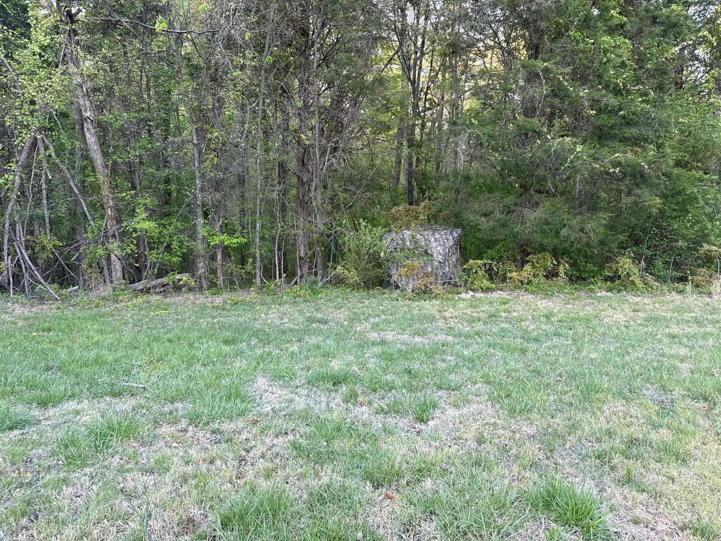 Customer photo review of FLASH SALE VisX/VisMax 270 Degree Ground Blind | See-Through Duck Blind & Portable Pop-Up Deer Blind | Camouflage Hunting Blinds & Best Budget Ground Options