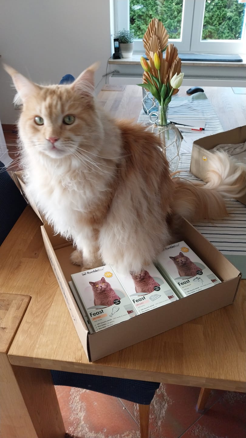 Customer photo review of Ultimate Sparbox Schleckies 3x5x15 g