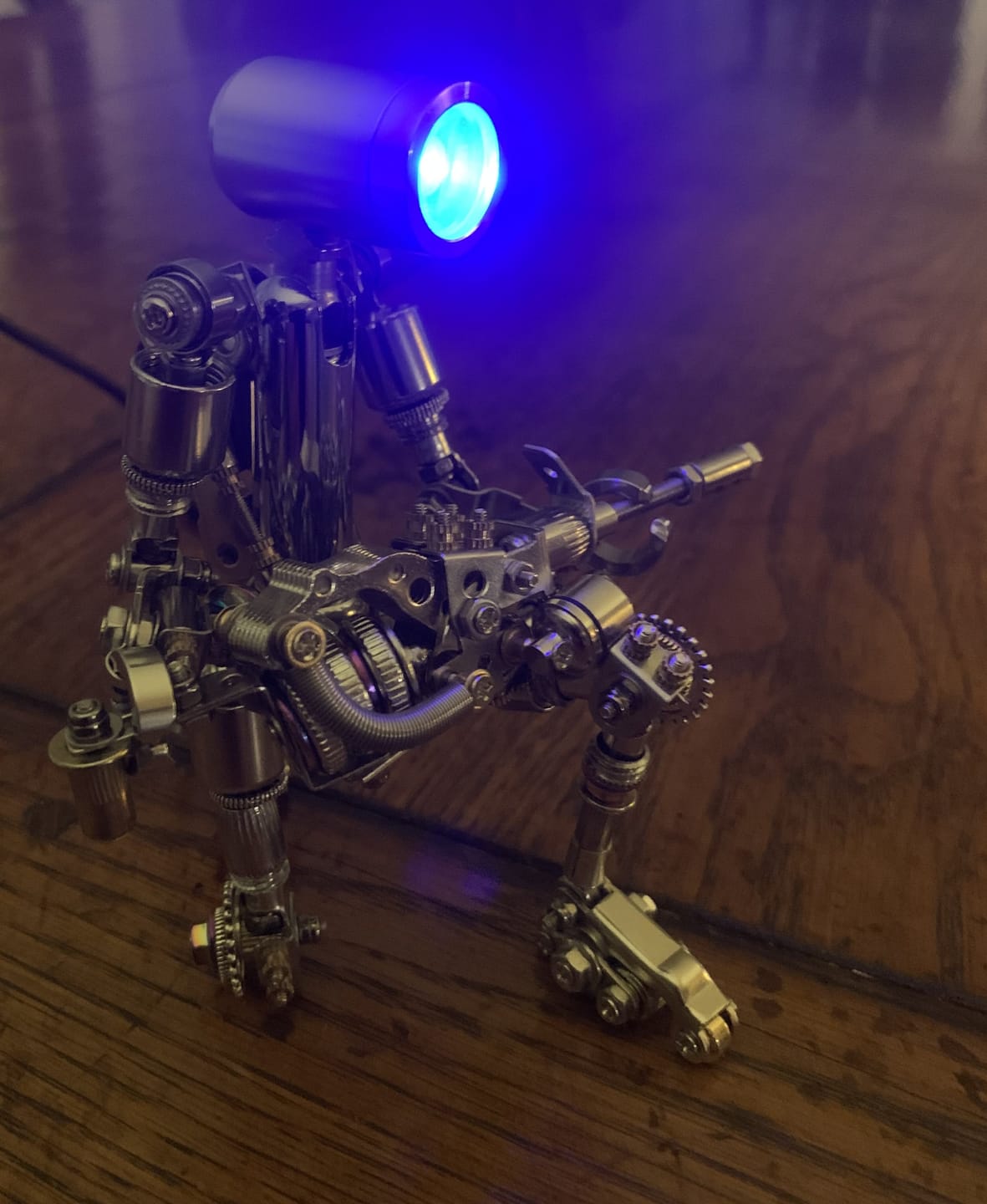 Customer photo review of Terminator M