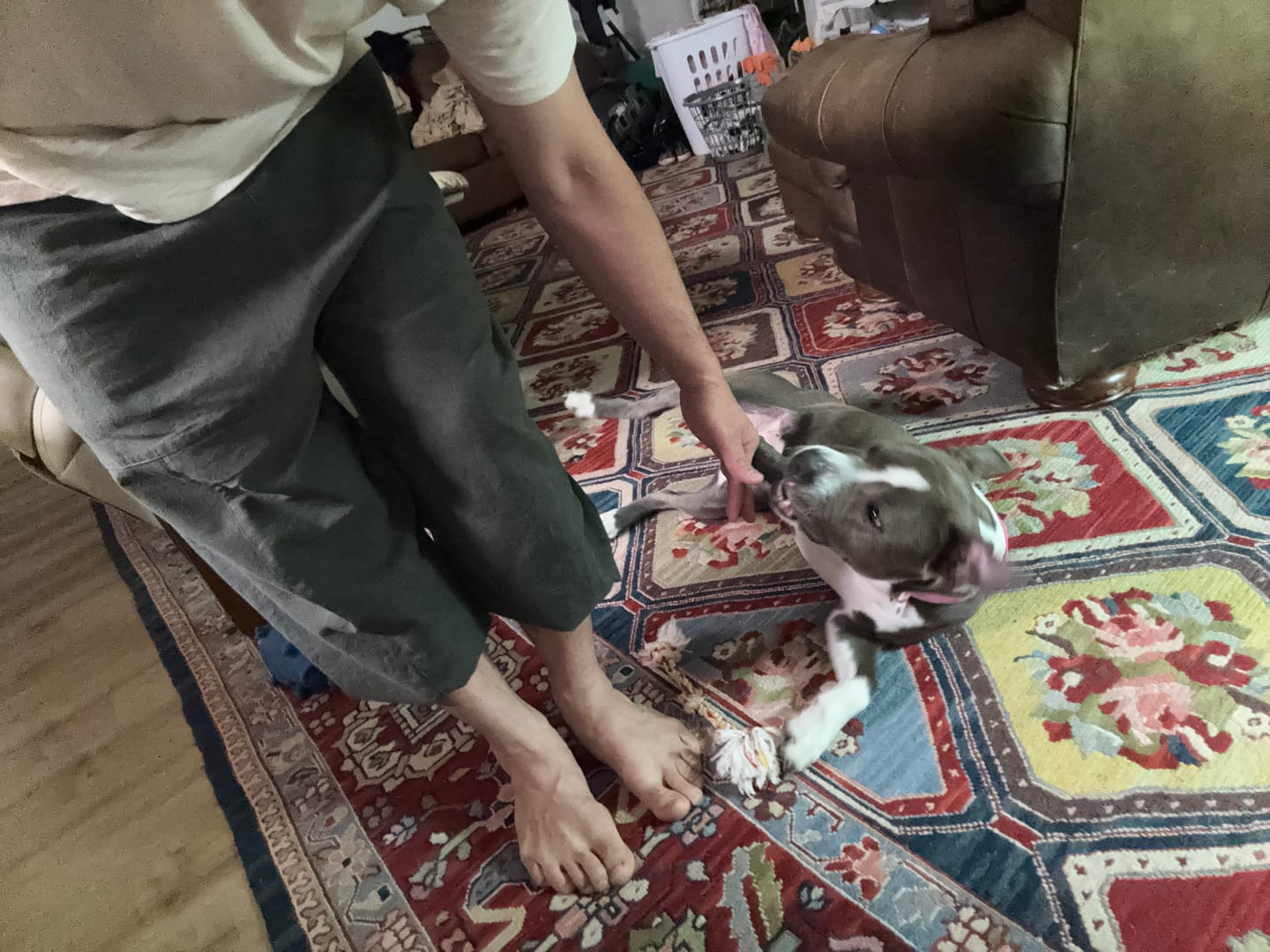 Customer photo review of Kireina Pants 2.0