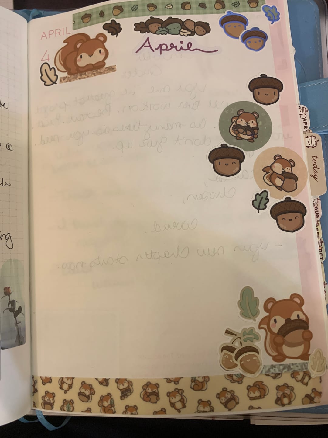 Customer photo review of Squirrelly Acorn Variety Sticker Pack