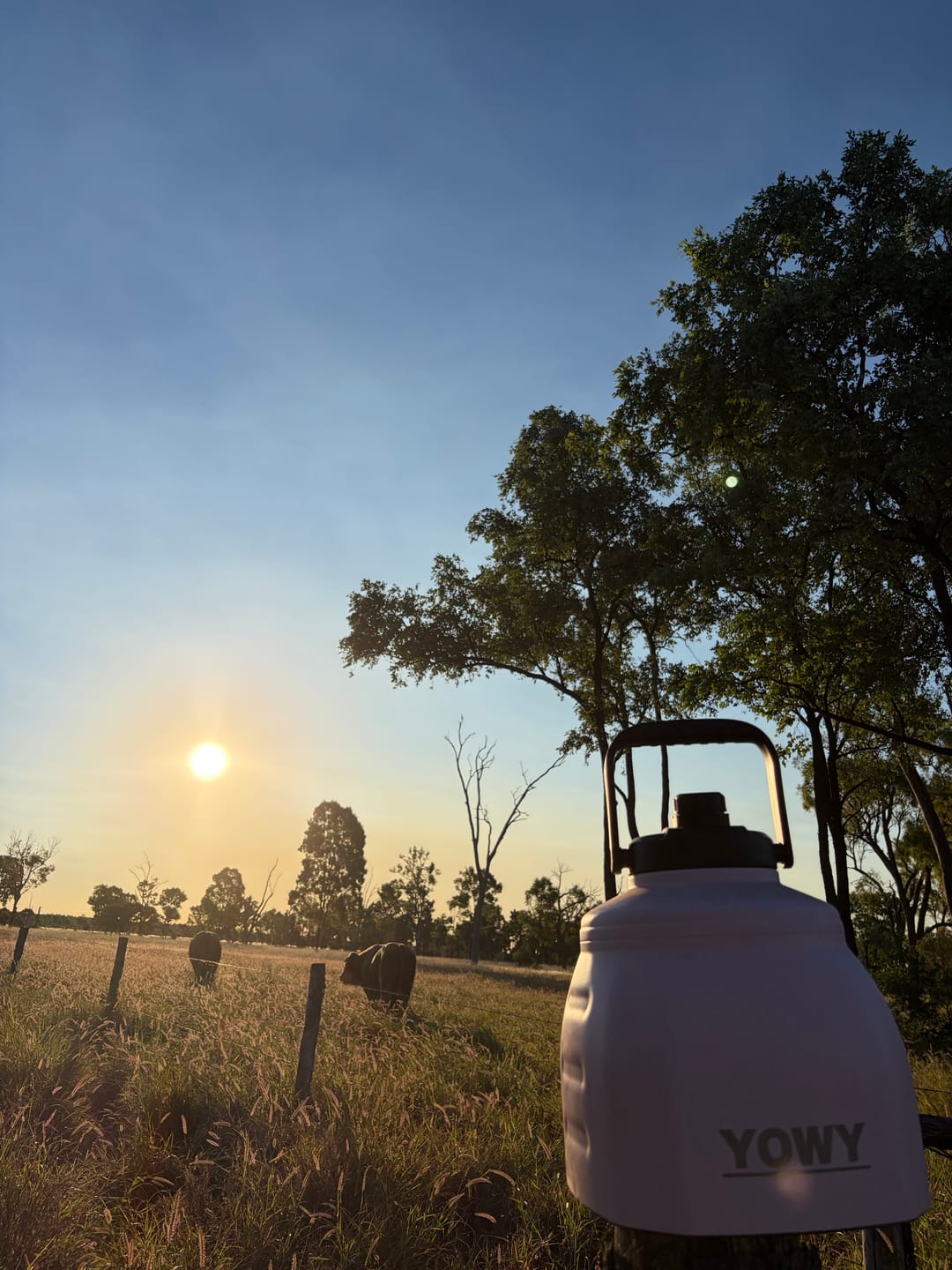 Customer photo review of 6L Yowy Watercan