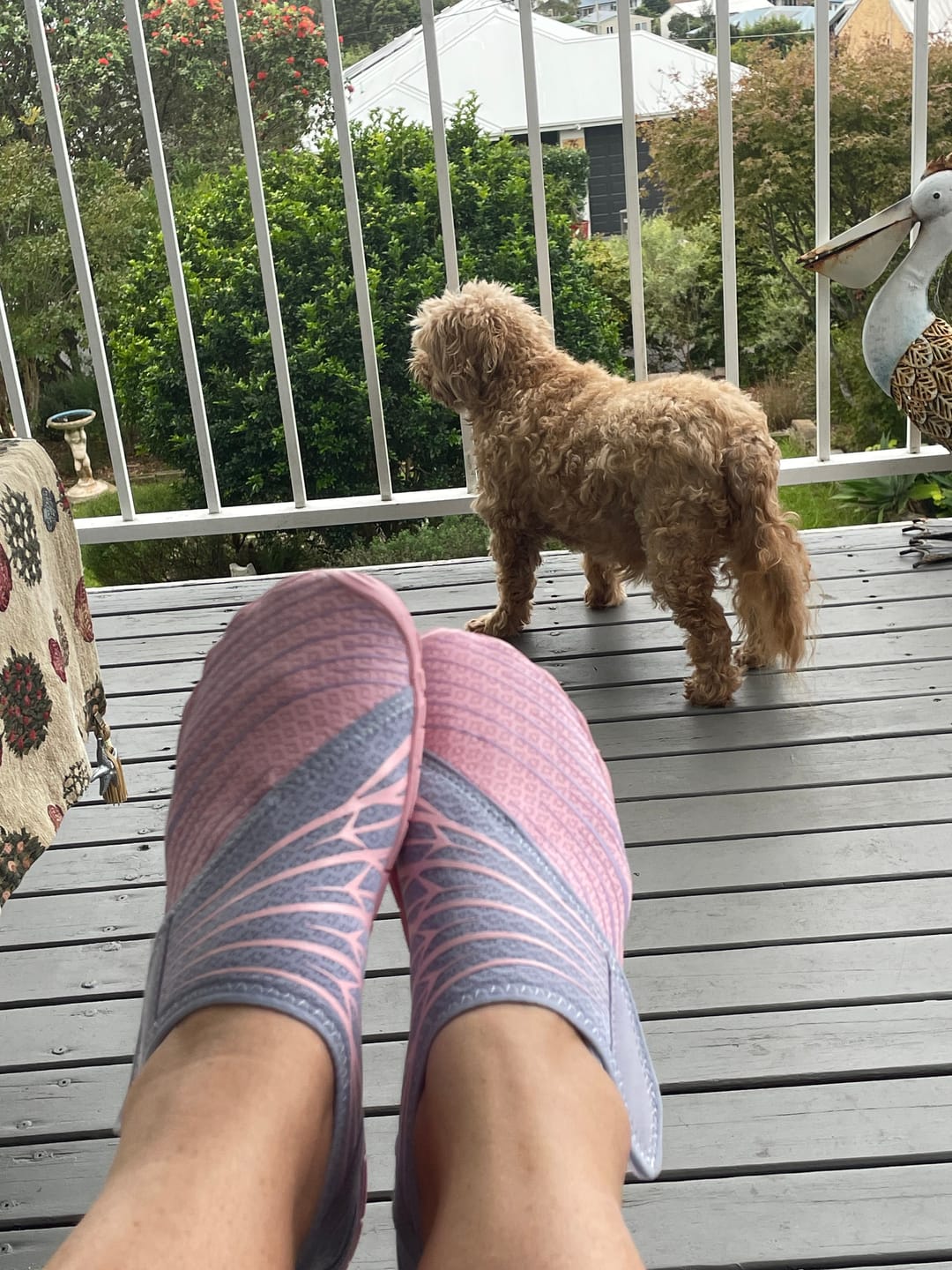 Customer photo review of Solyn-Mauve