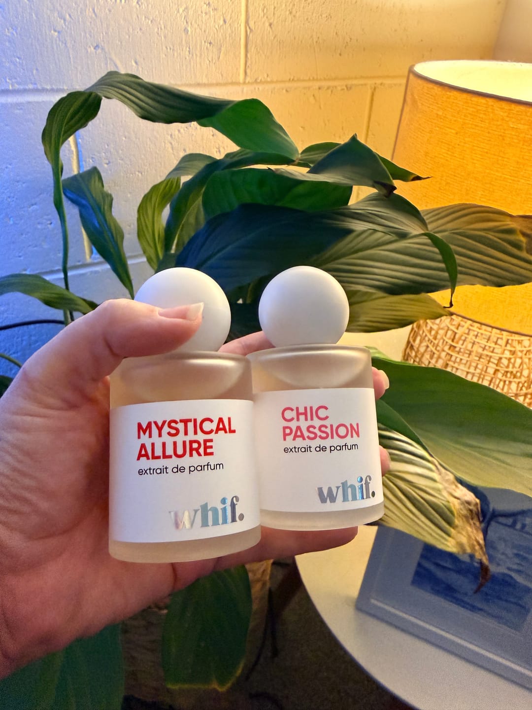 Customer photo review of Mystical Allure