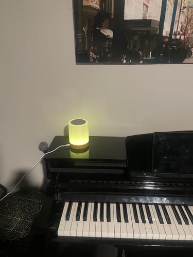 Customer photo review of Friendship Lamp