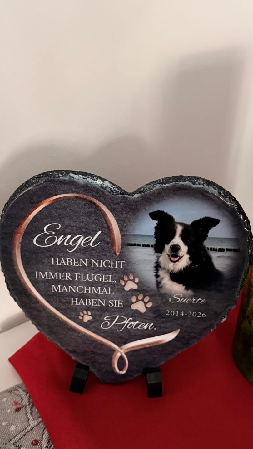 Customer photo review of Personalisiertes Schieferherz - Engel haben Pfoten