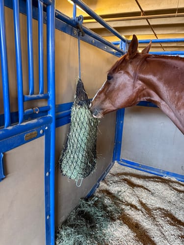 Customer photo review of Hay Chix® Half Bale Net