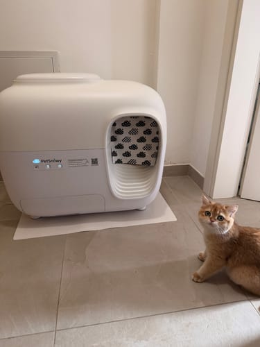 Customer photo review of Self-Cleaning Litter Box