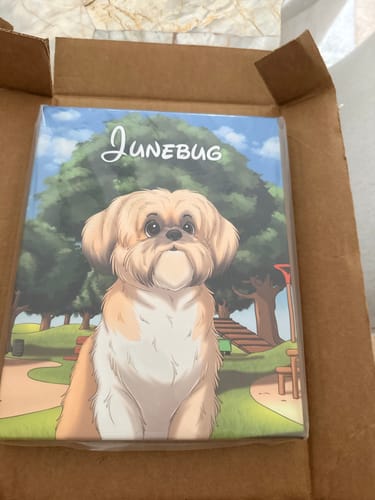 Customer photo review of Custom Hand-Drawn Cartoon Pet Portrait