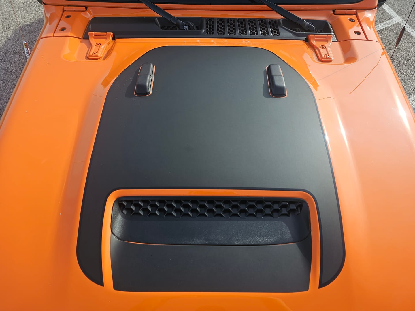Customer photo review of Hood Graphic for Gladiator MOJAVE