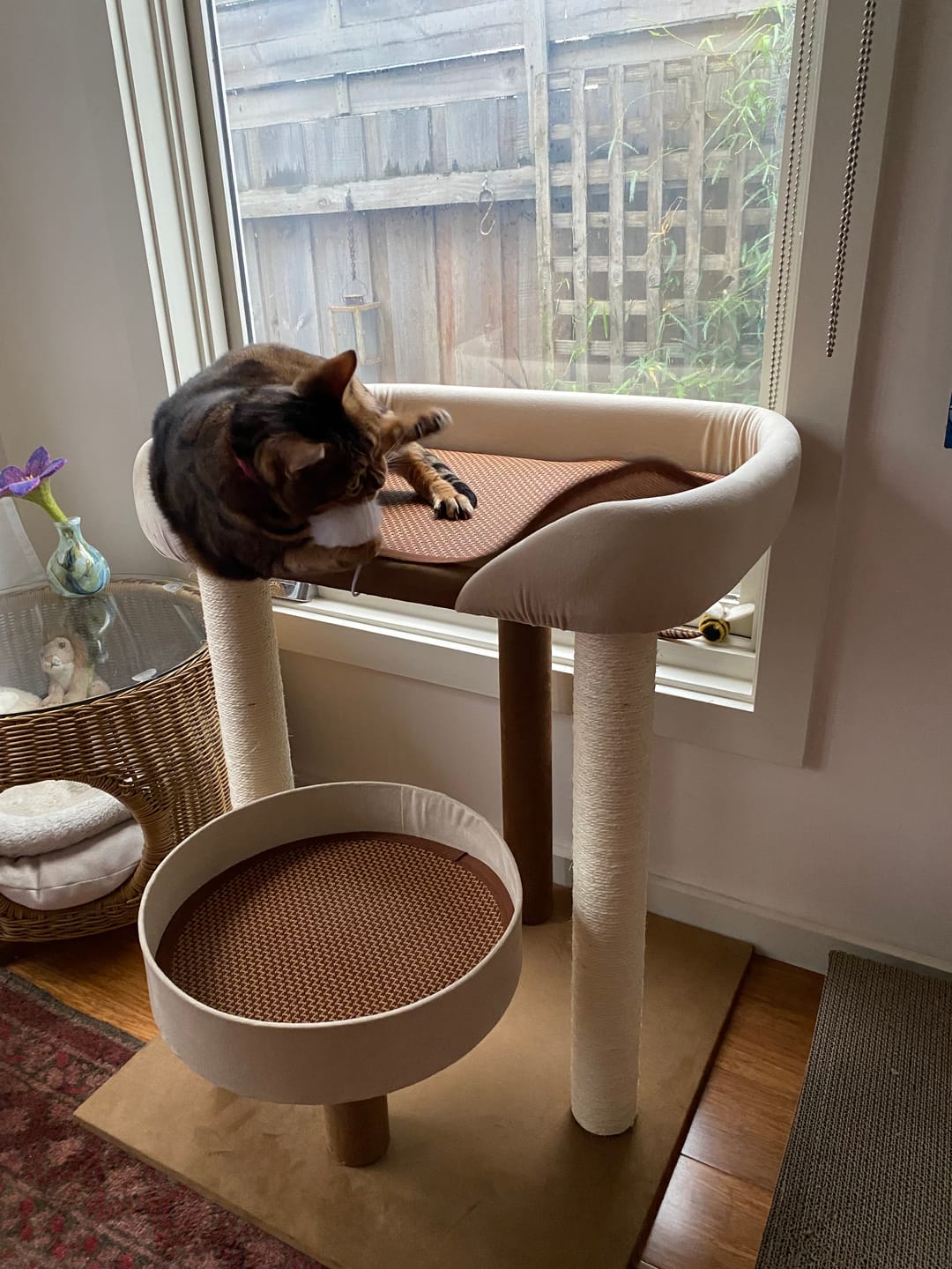 Customer photo review of Japanese-Style Double-Level Cat Tree Cat Sofa - 90901B, Perfect for Window-Side Lounging