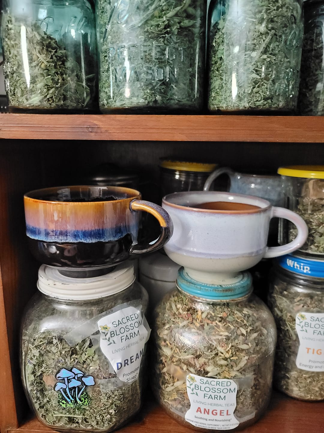 Customer photo review of Horizon Mug 16oz