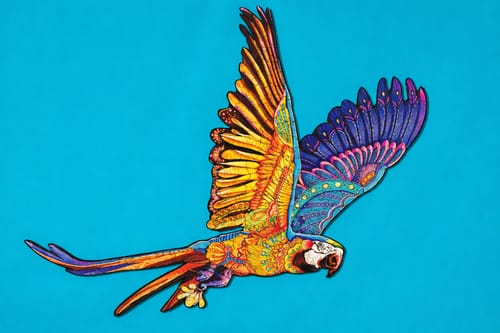 Customer's completed Ocean Lab Wooden Puzzle showing a colorful macaw in flight against a blue background.