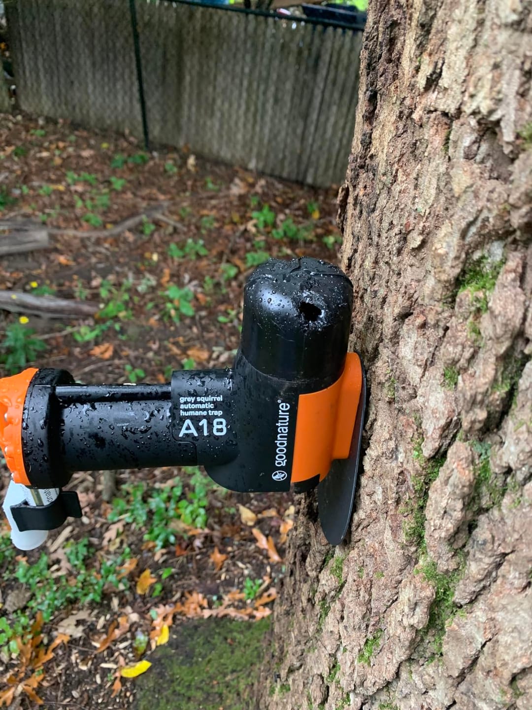 Customer photo review of A18 Squirrel Trap Kit With Digital Strike Counter