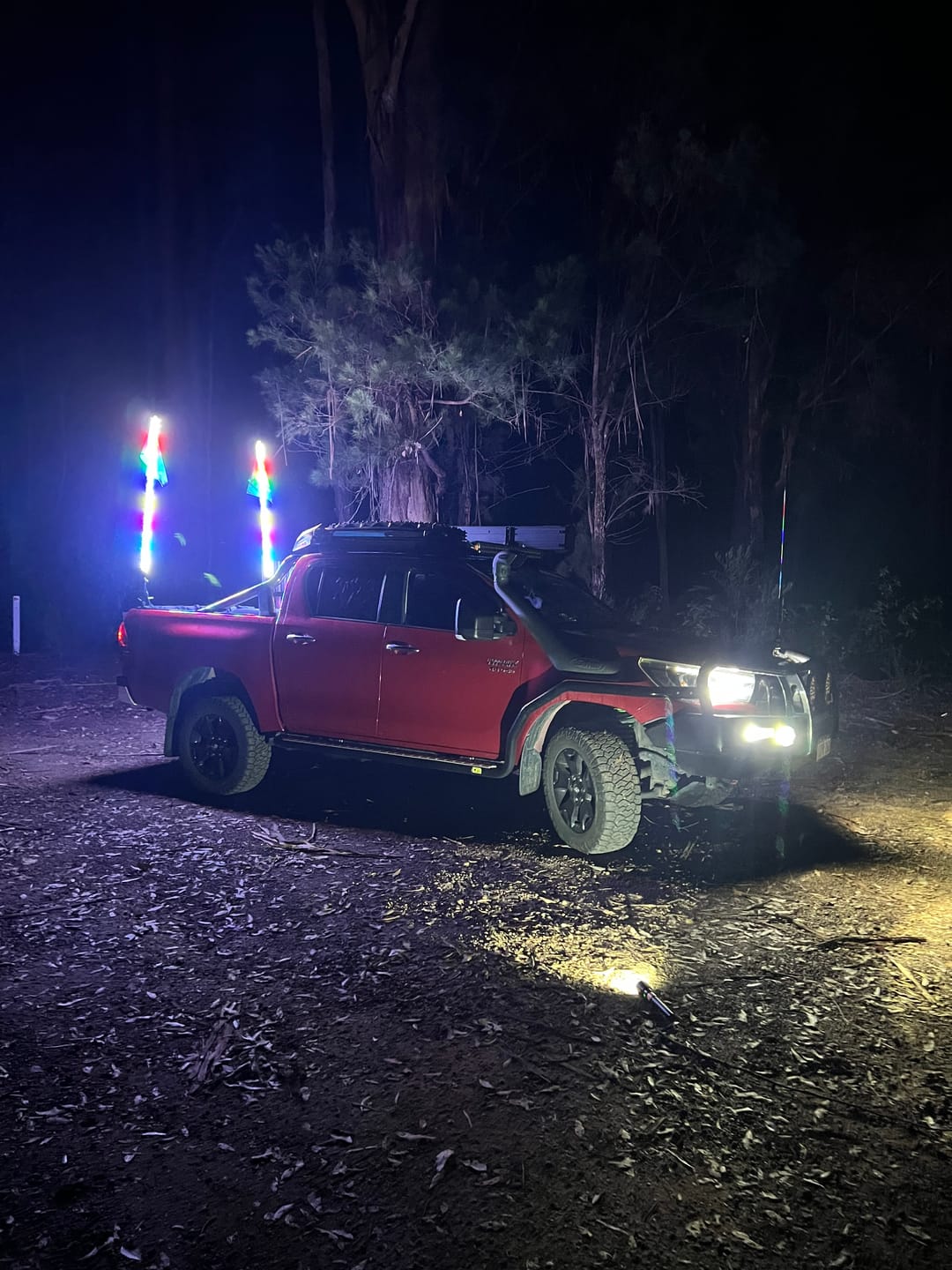 Customer photo review of 5ft LED Whip Lights