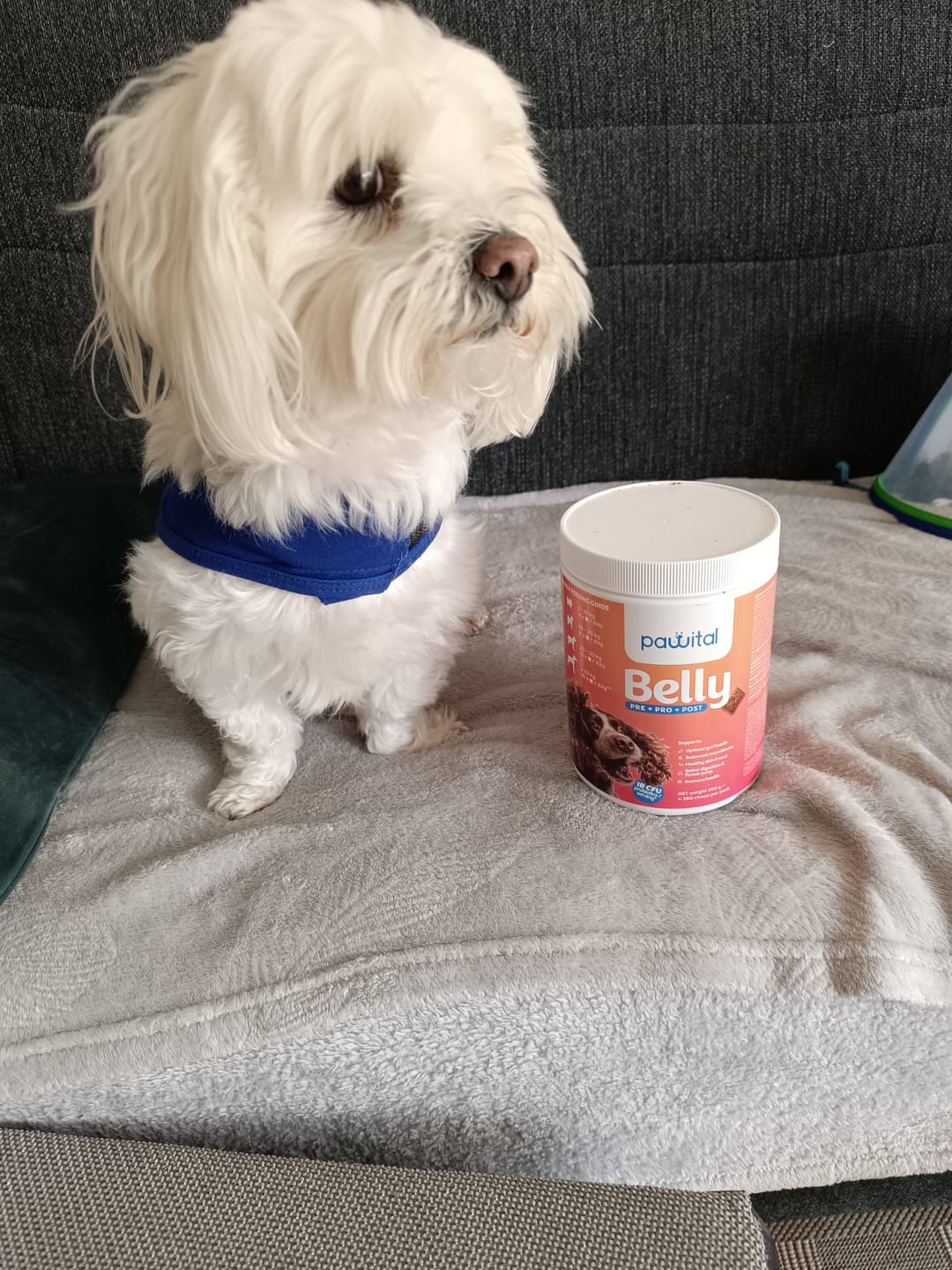 Customer photo review of Belly Biotics (jar)