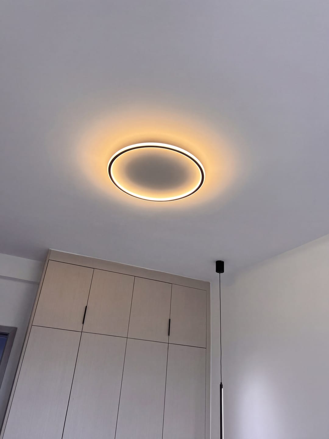 Customer photo review of ScandiGlobe | Black Scandinavian Ceiling Light