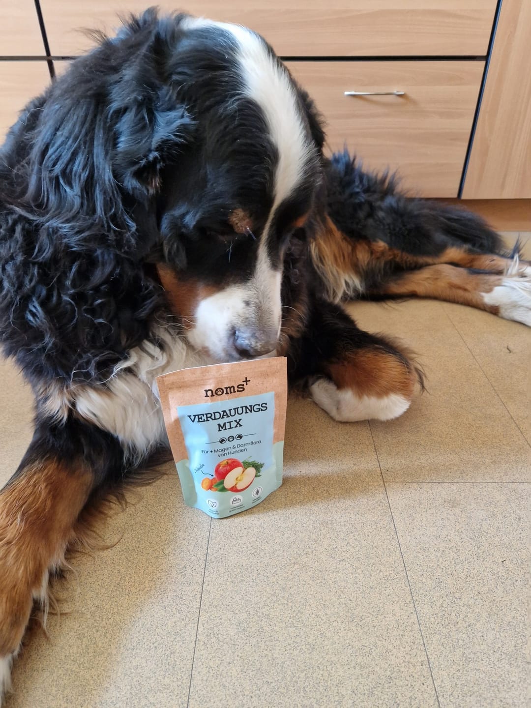 Customer photo review of Verdauungsmix für Hunde als Probiotikum für Magen- & Darmflora