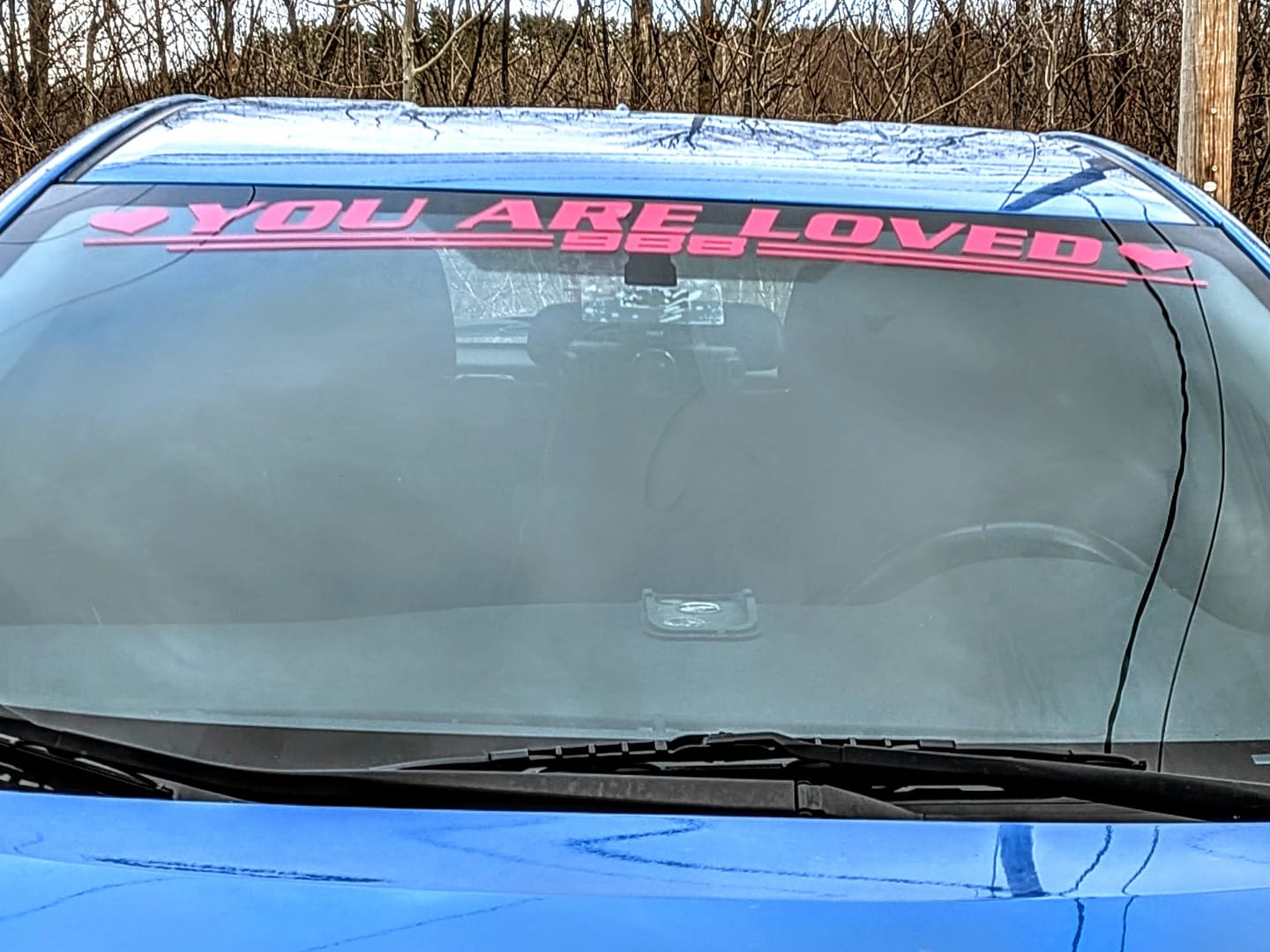 Customer photo review of You Are Loved - Window Banner