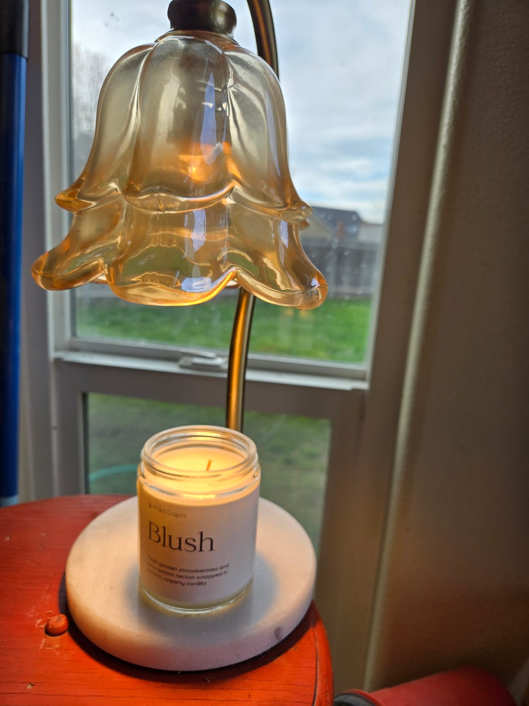 Customer photo review of Blush Candle