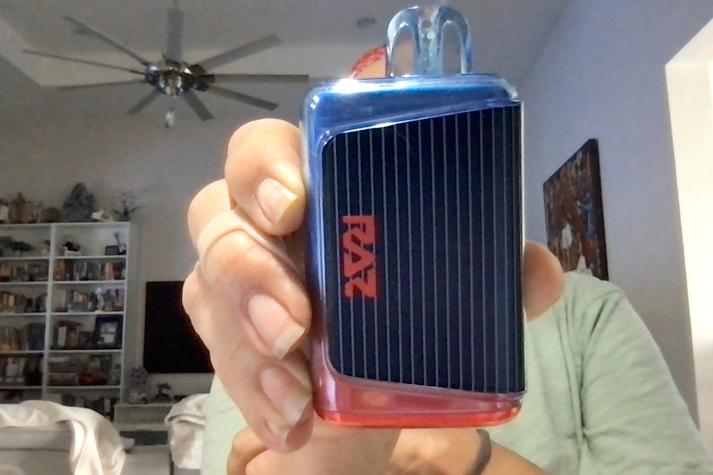 Customer photo review of RAZ LTX 25000