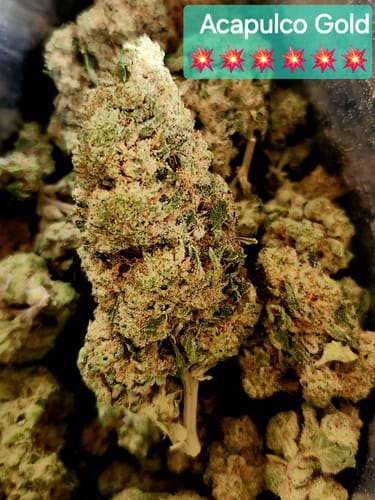 Customer photo review of Cheap THCA Flower Quarter Pound