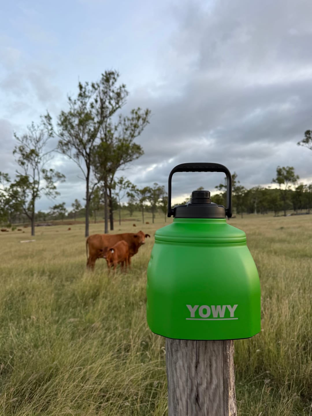 Customer photo review of 6L Yowy Watercan