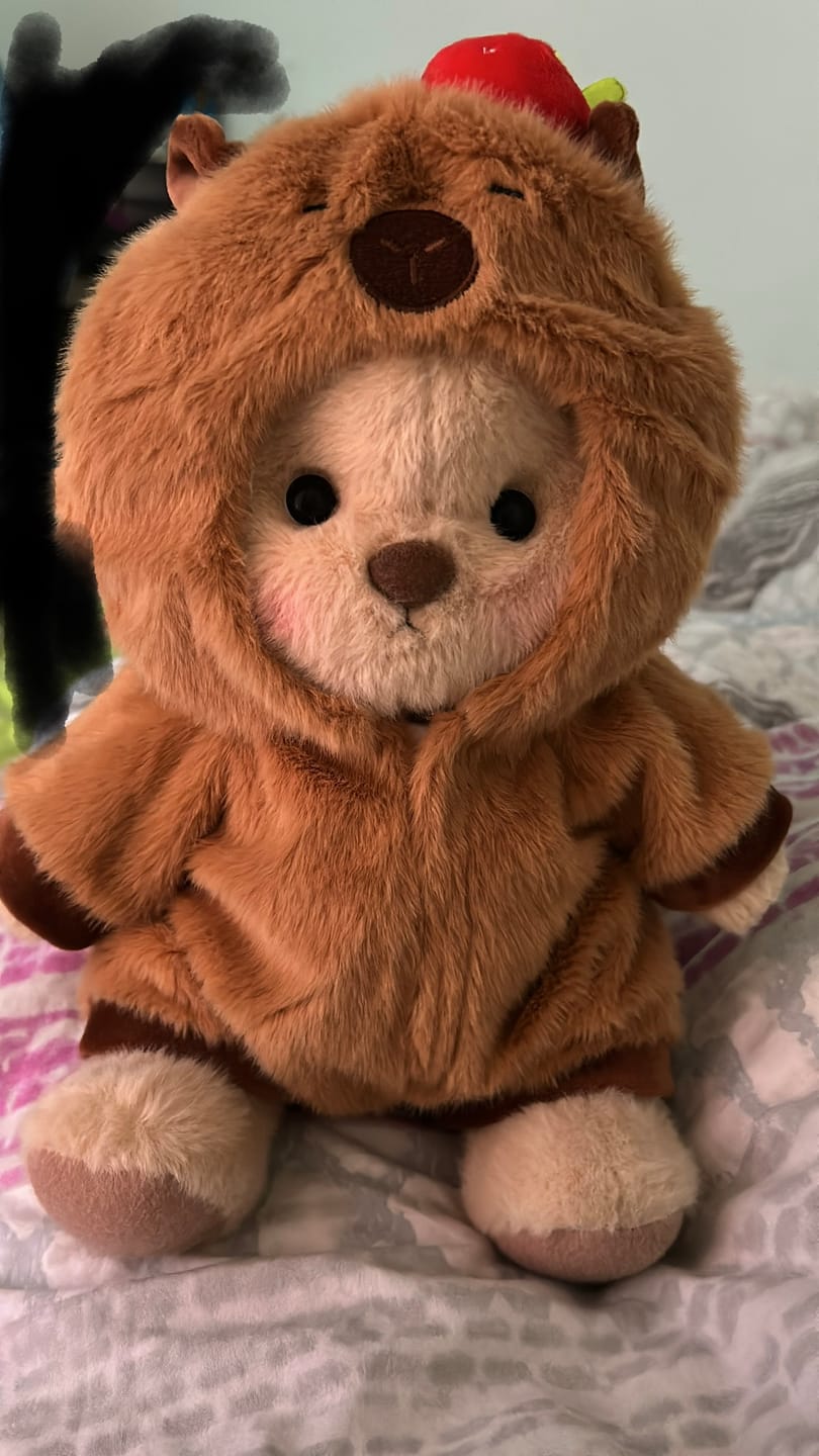 Customer photo review of Capybara