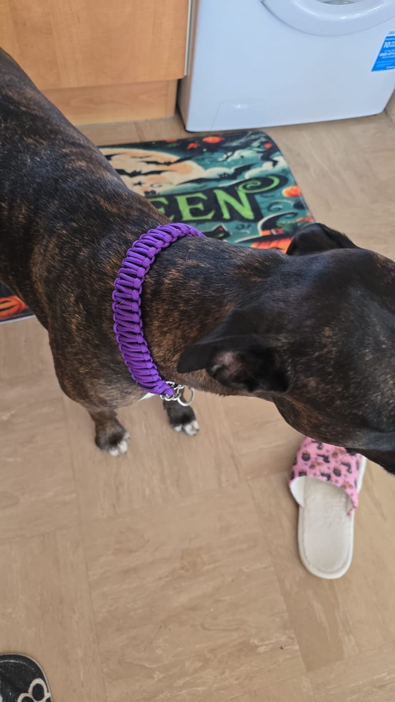 Customer photo review of Premium Paracord Set - Anti pull