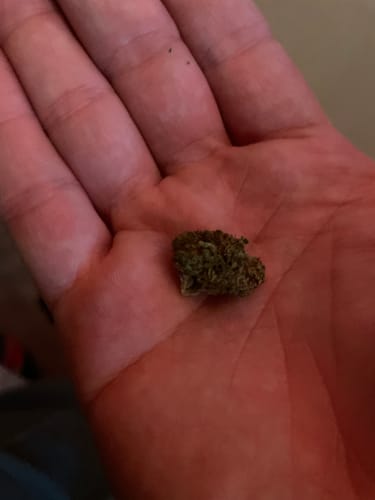 Customer photo review of Crunch Berries | THCA Flower Smalls
