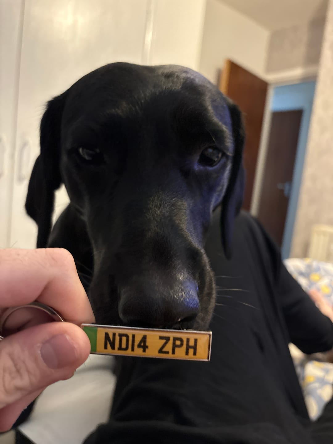 Customer photo review of Personalised Metal Number Plate Keyring