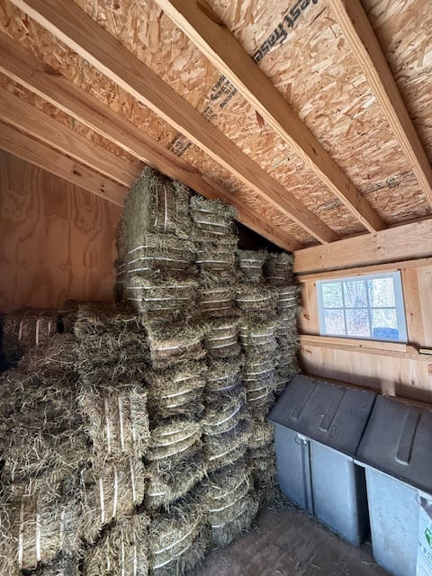 Customer photo review of Timothy Orchard Grass Hay (Click here for Qty Discount) Grass Hay (Buy More - Save More)(Includes delivery too!)