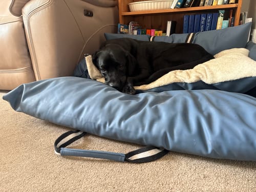 Customer photo review of The Dog Dock