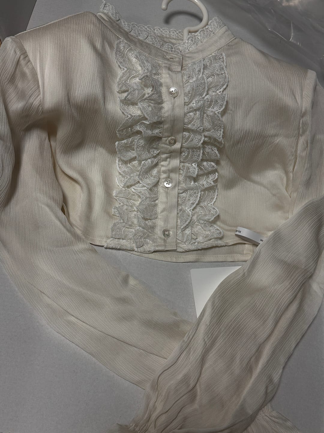 Customer photo review of Hydrae Lace Ruffle Cropped Blouse High Neck Sheer Long Sleeve Top