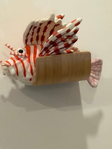 Customer photo review of Red Lionfish Soft Stuffed Plush Toy