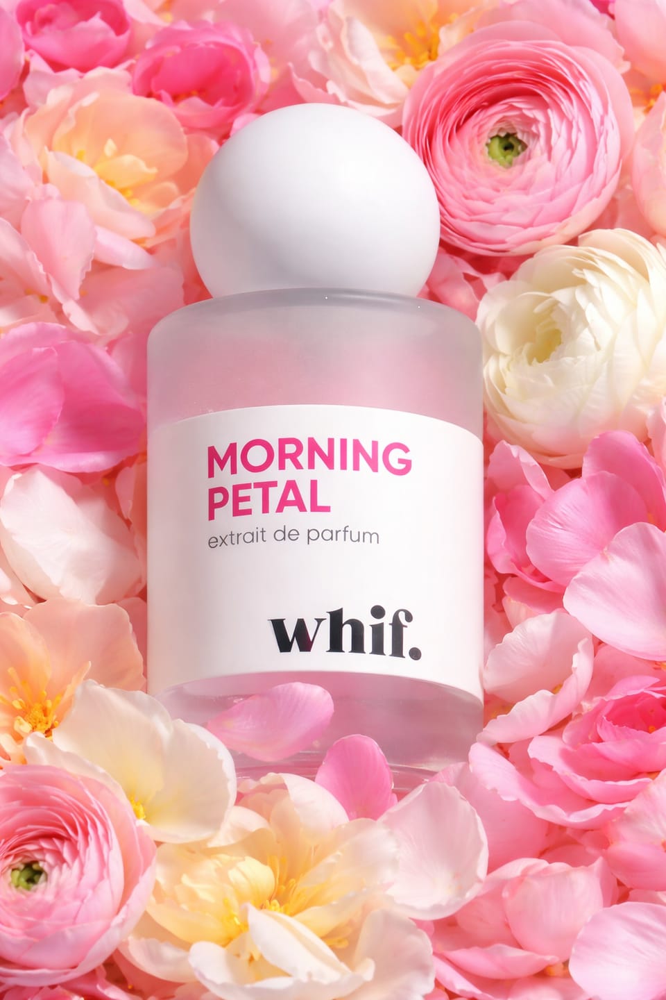 Customer photo review of Morning Petal