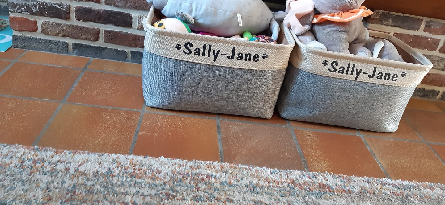 Customer photo review of Tidybox - Gepersonaliseerde Opbergbox Hondenspeelgoed