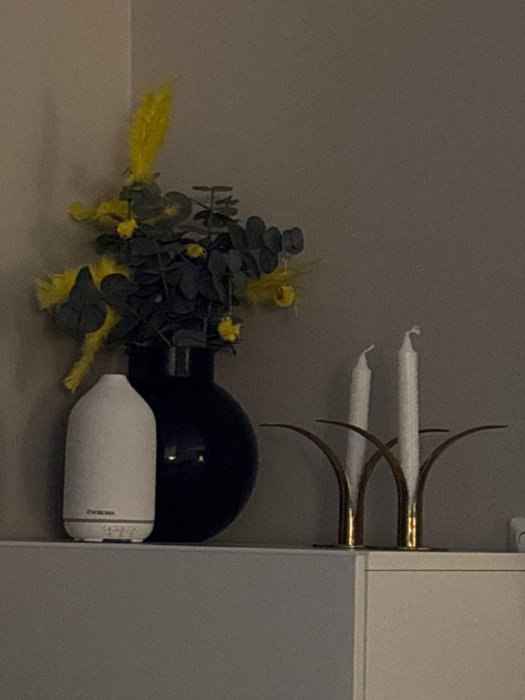 Customer photo review of Diffuser Vit