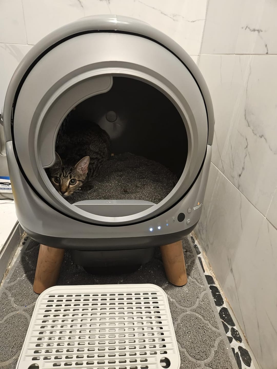 Customer photo review of [Easter Sale] Orbitie Automatic Cat Litter Box for Cats,Superior Odor Control & Whisper-Quiet