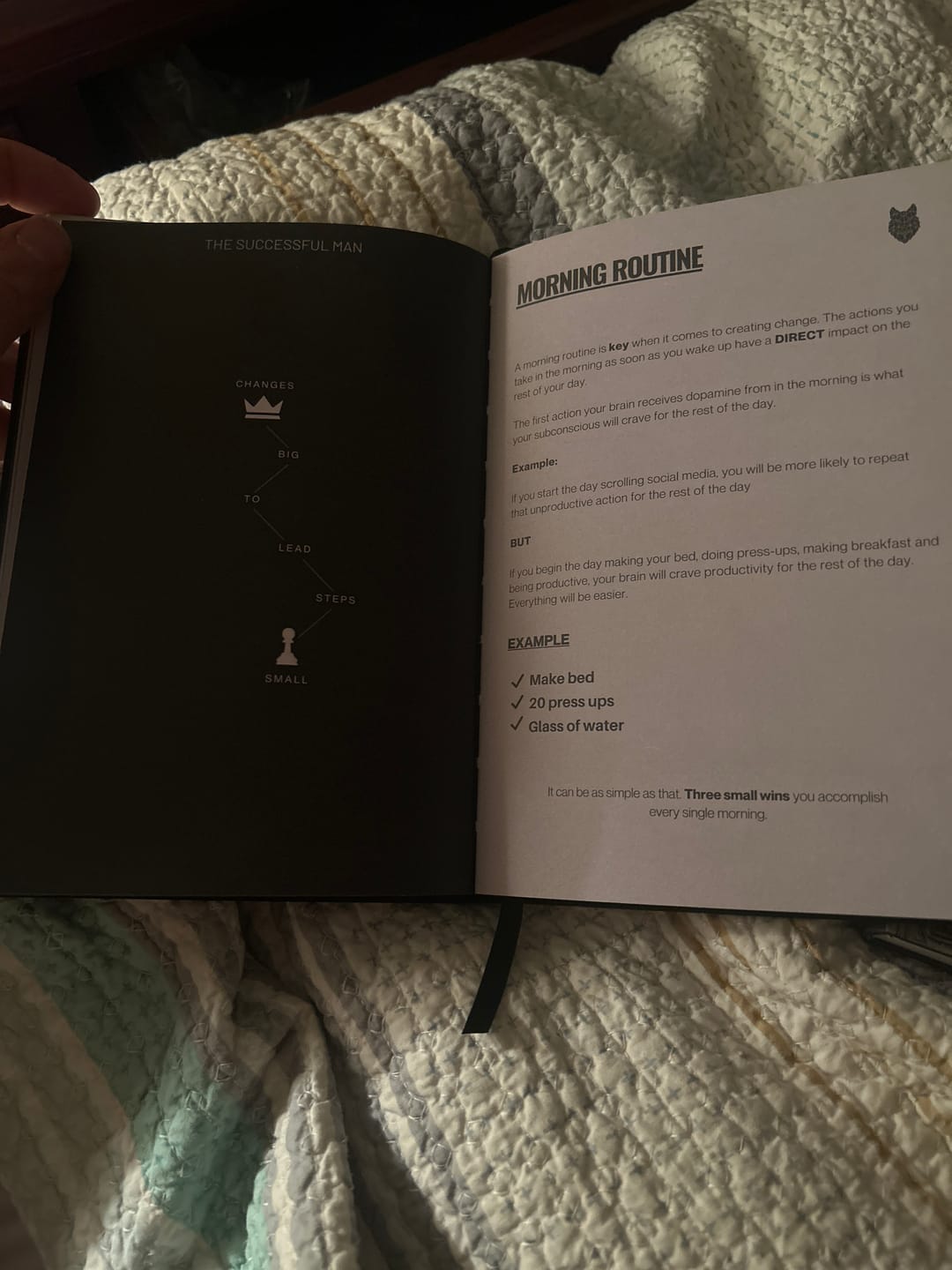 Customer photo review of The Successful Man