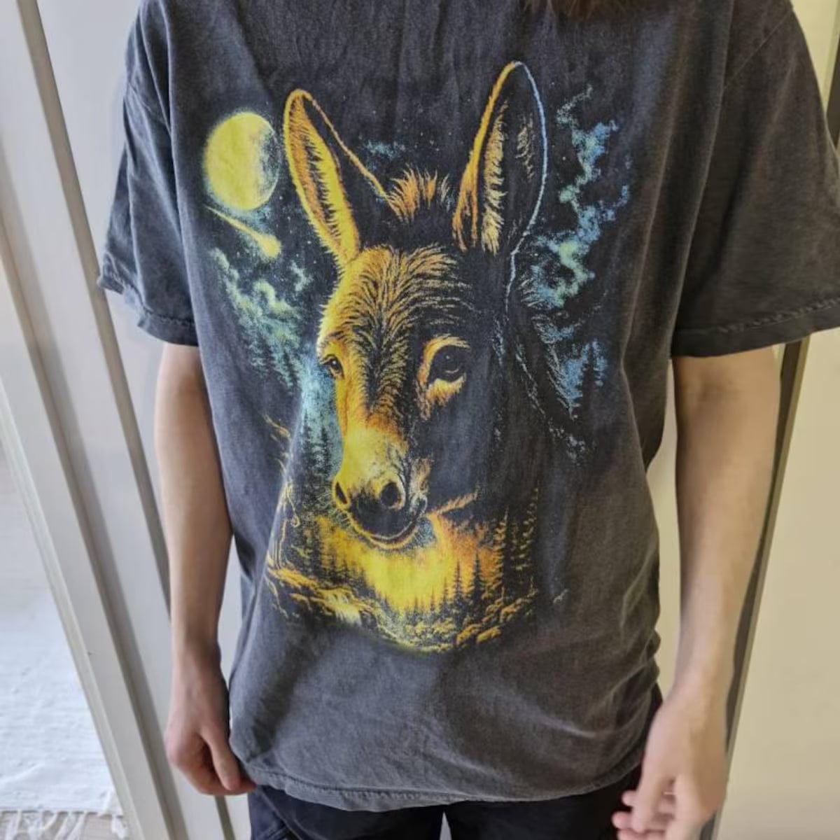 Customer photo review of Moonlight Donkey