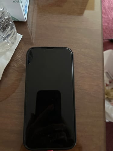 Customer photo review of Personalized Family Name America 250th Anniversary Phone Case